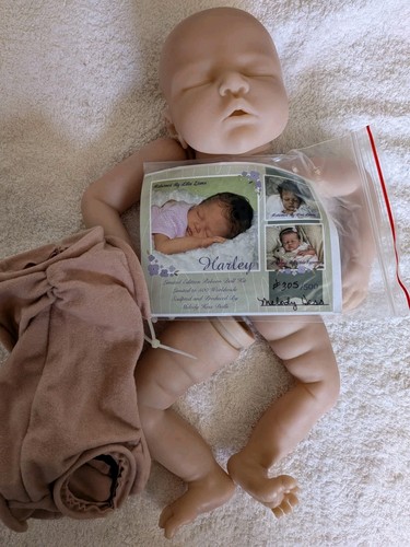 Started melody hess harley - hess,