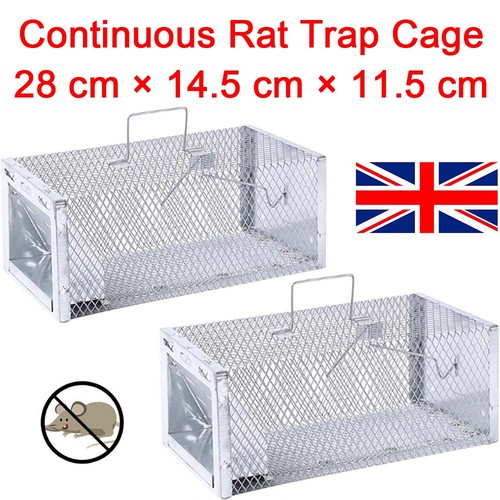 Rat trap squirrel door mouse - squirrel,
