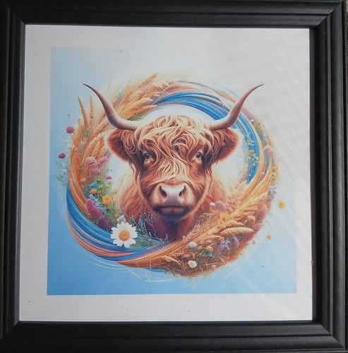 Highland cow picture inch - picture,