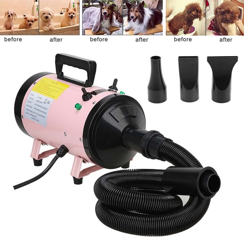 Dog pet grooming hair dryer - dog,