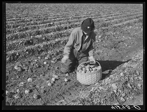 Photo caribou maine 1940 - photo:caribou,