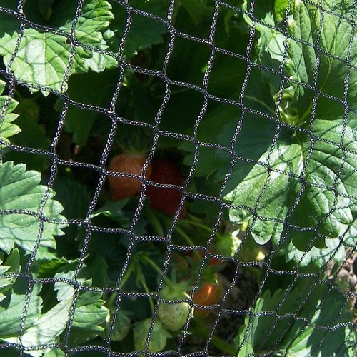 Heavy duty anti bird netting - duty,
