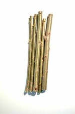 Premium Willow Cuttings -