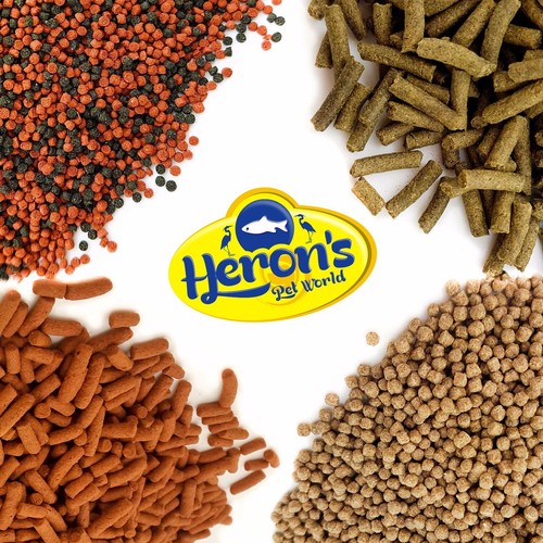 Herons cichlid fish food - cichlid,
