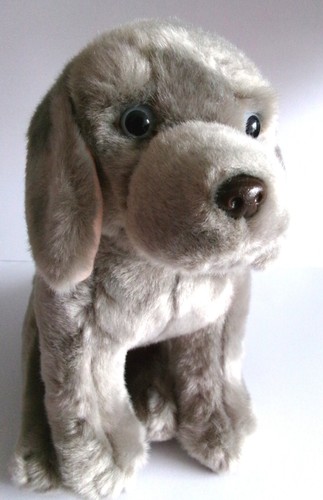 Weimaraner is with - as, is,