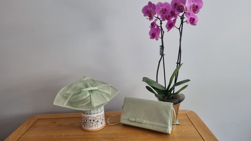 Fascinator and matching clutch