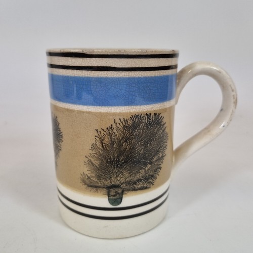 Antique 19thc mocha ware - antique,