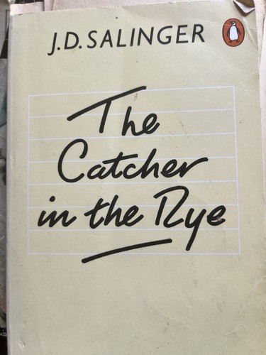 The catcher rye novel - in,