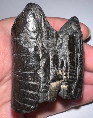 Rare ice age - ice,