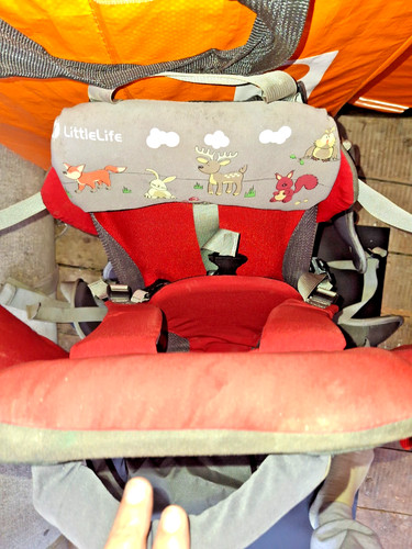 Little life traveller - life,