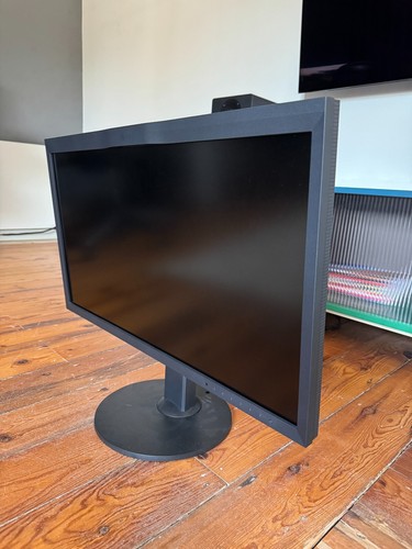 Eizo coloredge cg319x ips - eizo,