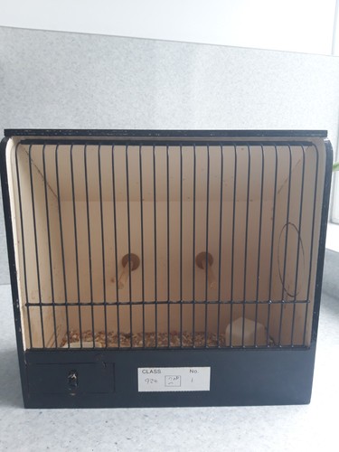 Used wooden show cage - show,