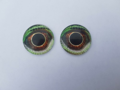 Animal eyes round glass - eyes,