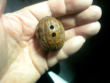 Walnut netsuke collectable