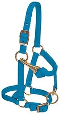 Miniature Horse Halter Adjustable Blue Nylon with Brass Snap for 200-400 lbs
