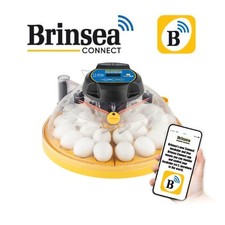Brinsea Maxi 24 EX CONNECT