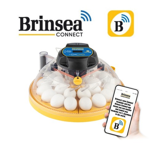 Brinsea maxi connect - brinsea, ex