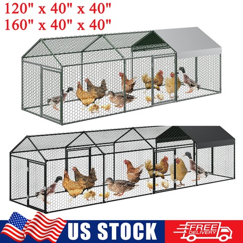Metal chicken coop walk - chicken, hen