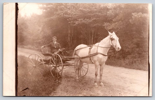Man sitting horse drawn - man,
