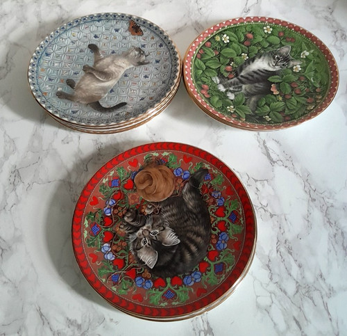Aynsley meet kittens - aynsley,
