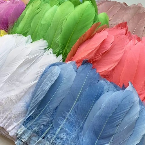 Goose feather trim - feather, coque