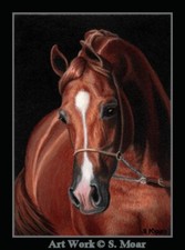 Sorrel Arabian Horse Show Halter ACEO Limited Edition miniature Art Print