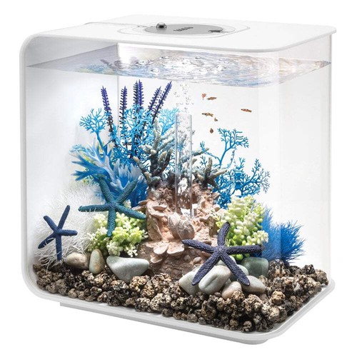 Biorb flow aquarium fish - flow,