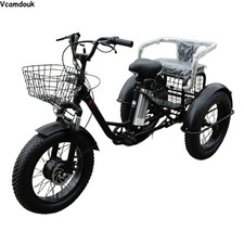 20" Electric Trike Cargo 48V