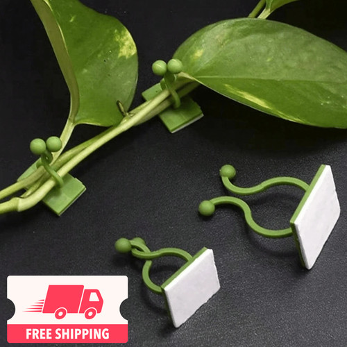 Plant climbing wall vines - wall, clip