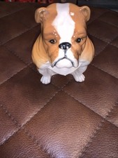 Rare Royal Doulton Special Colourway DA 222 Bulldog Porcelain Dog Figurine