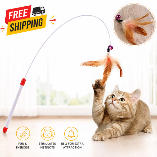Cat kitten toy feather wand - kitten,