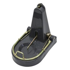 Black Cat Rat Trap