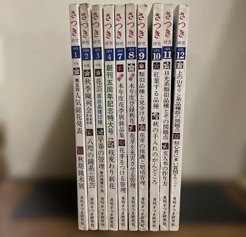 Satsuki Kenkyu Magazine 10