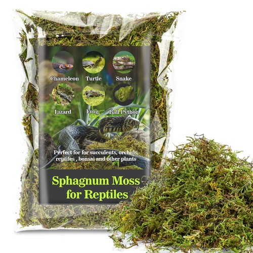 Sukh sphagnum moss - sphagnum, for