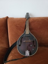 Castellane Electric Mandolin
