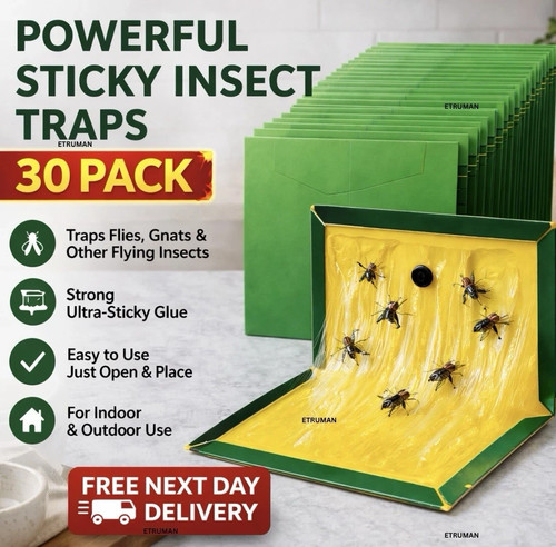 Large pest trap - xl, glu