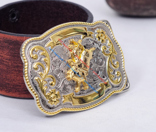 Rock bull ride rodeo long - rock,