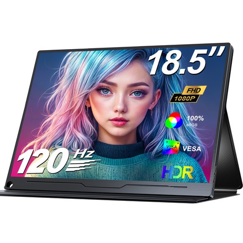 Inch portable monitor - 18.5,