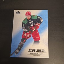 BRANDON ESTES BLUELINERS