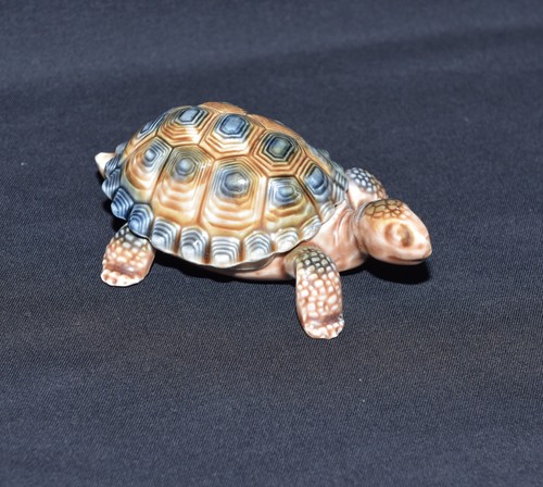 Wade large tortoise - (daddy),