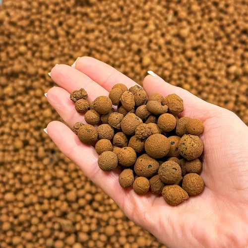 Clay pebbles for hydroponics - pebbles,