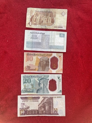 Egyptian money collection - money, collection/