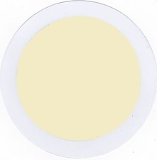 1 x Cream Car Tax Disc Holder