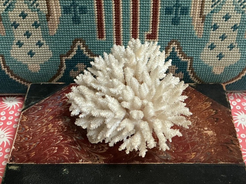 Vintage large natural tree - vintage,