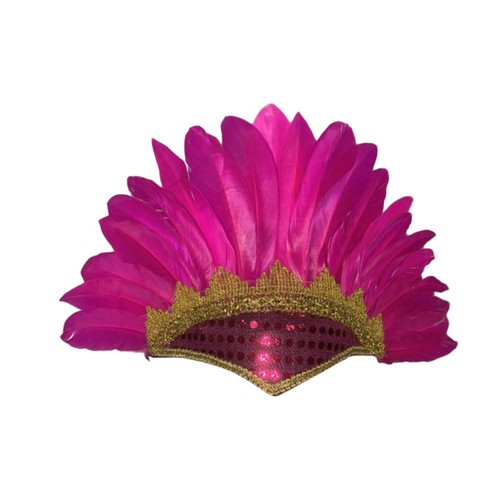 Feather headdress hair - hair, band