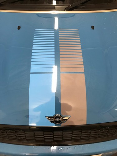 Mini cooper bayswater stripes - mini,