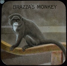 ANTIQUE COLOUR Magic Lantern