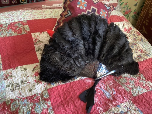 Vintage black ostrich feather - black,
