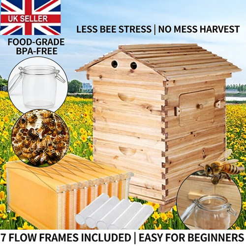 Auto flow honey beehive - auto,
