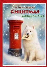 Samoyed Dog A6 (4"x 6") Christmas Card (Blank inside) - designed by Starprint